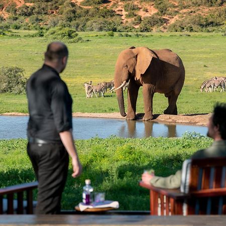 Gorah Elephant Camp Addo Ngoại thất bức ảnh