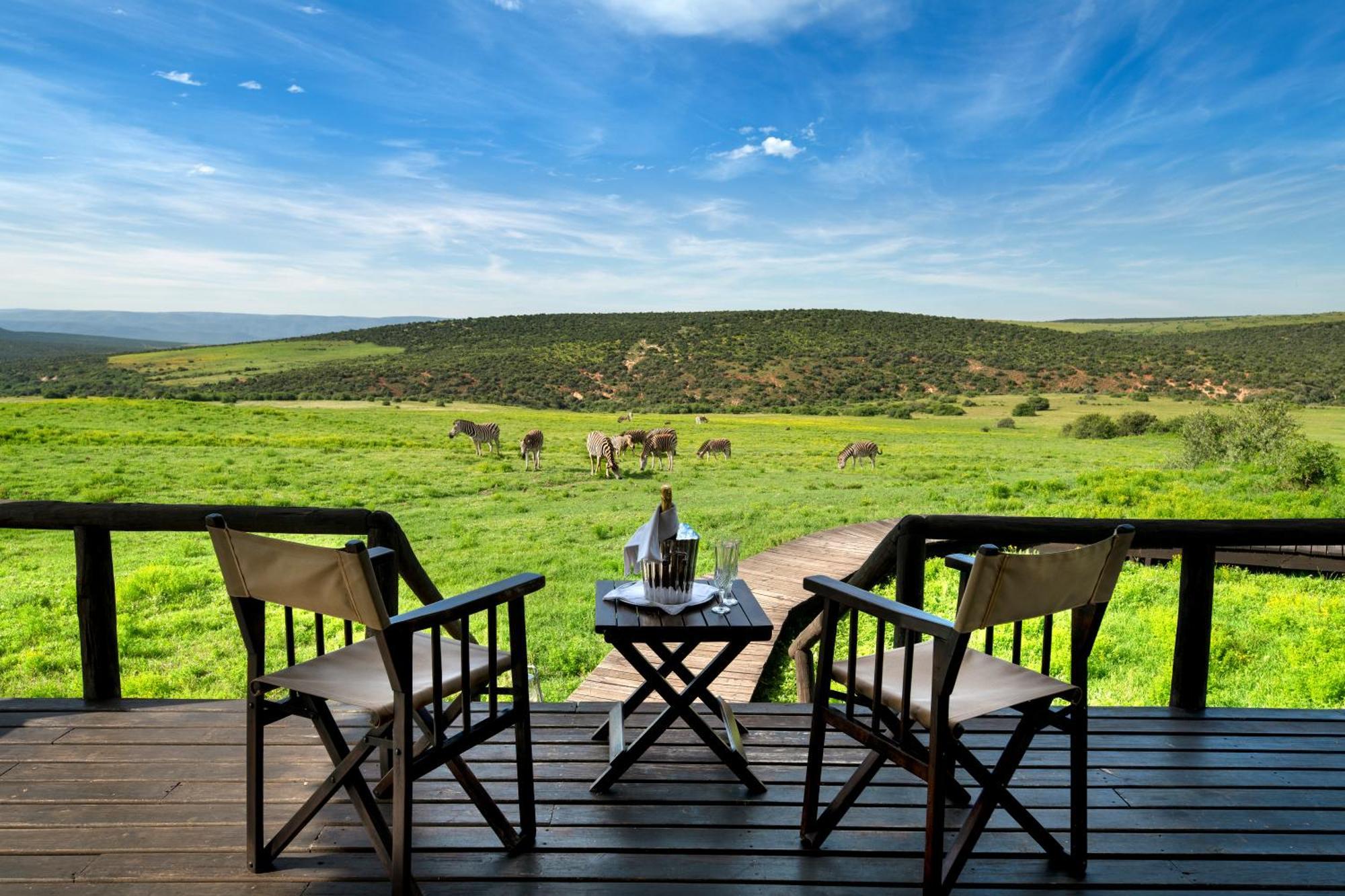 Gorah Elephant Camp Addo Ngoại thất bức ảnh