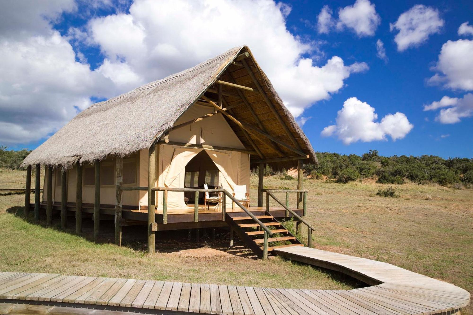 Gorah Elephant Camp Addo Ngoại thất bức ảnh