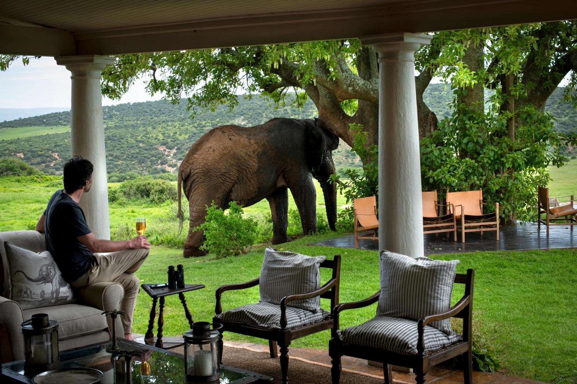 Gorah Elephant Camp Addo Ngoại thất bức ảnh