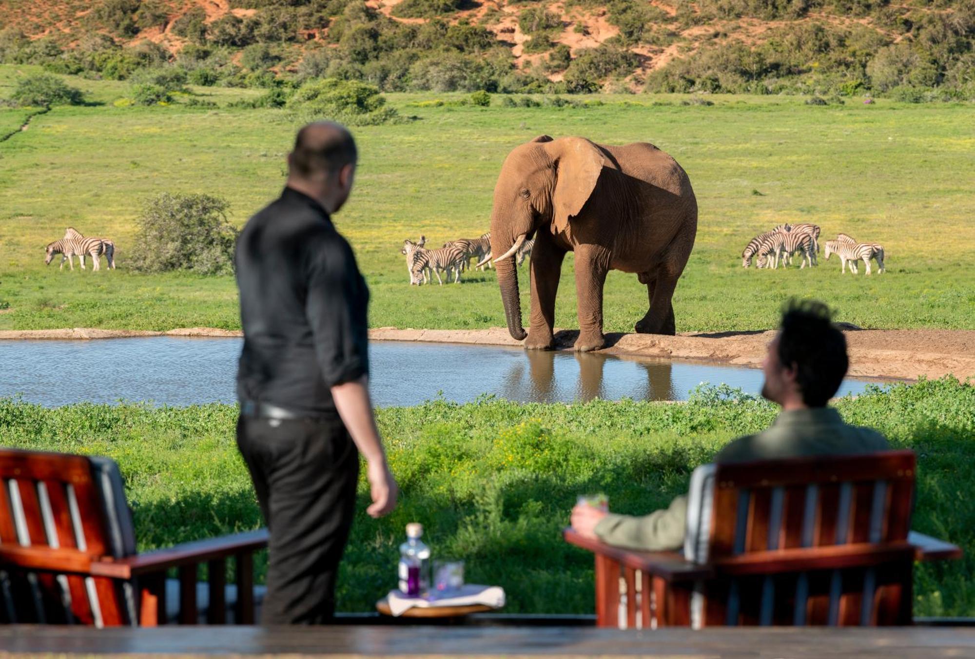 Gorah Elephant Camp Addo Ngoại thất bức ảnh