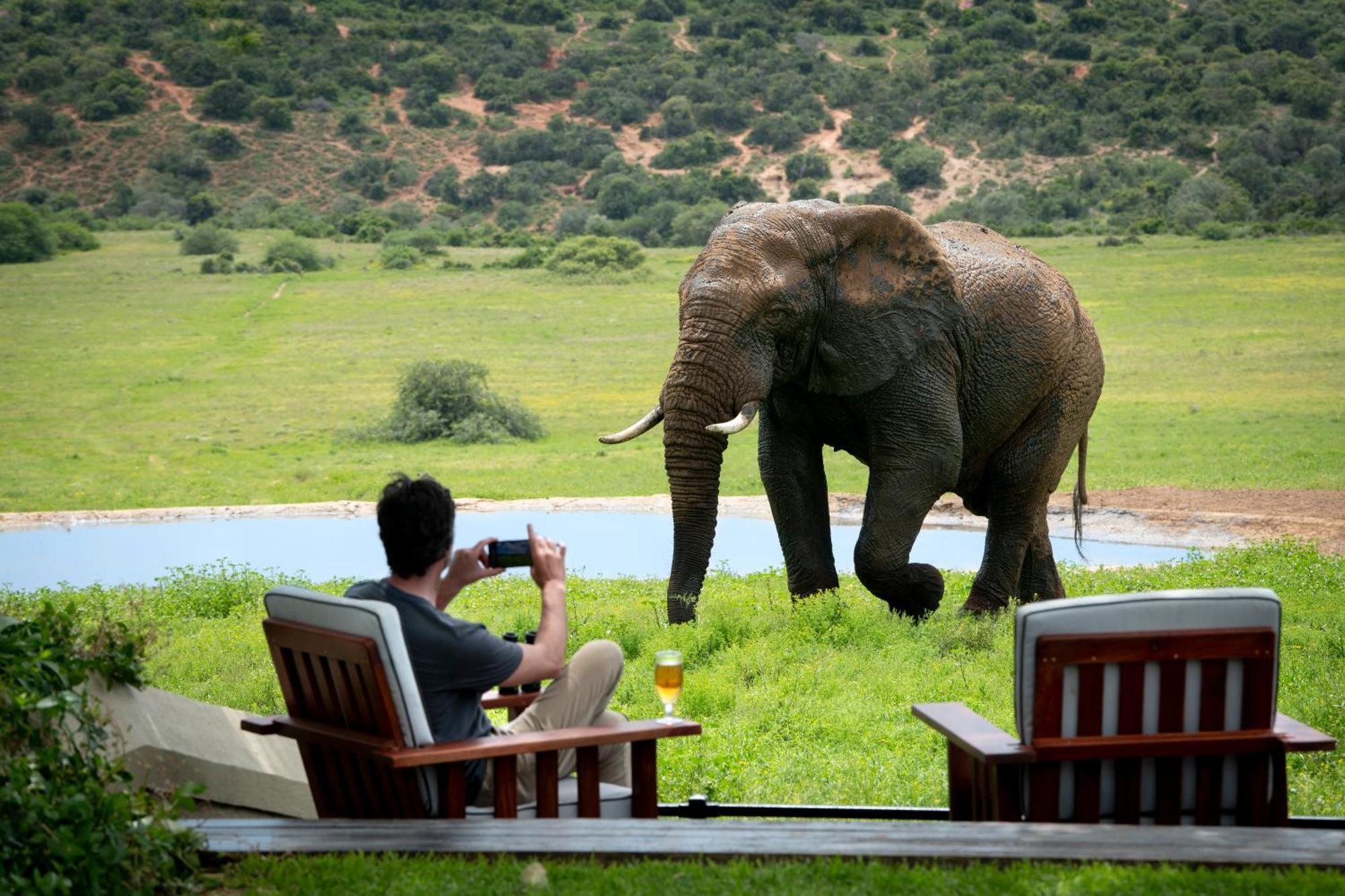 Gorah Elephant Camp Addo Ngoại thất bức ảnh