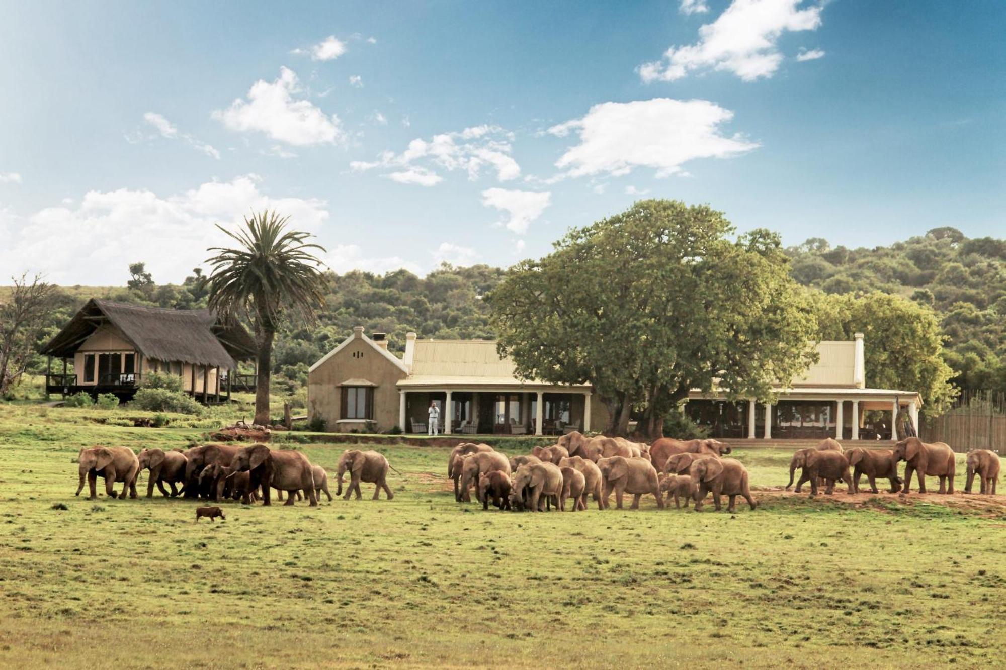 Gorah Elephant Camp Addo Ngoại thất bức ảnh