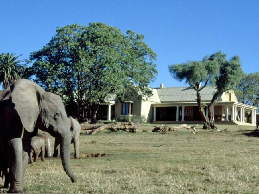 Gorah Elephant Camp Addo Ngoại thất bức ảnh