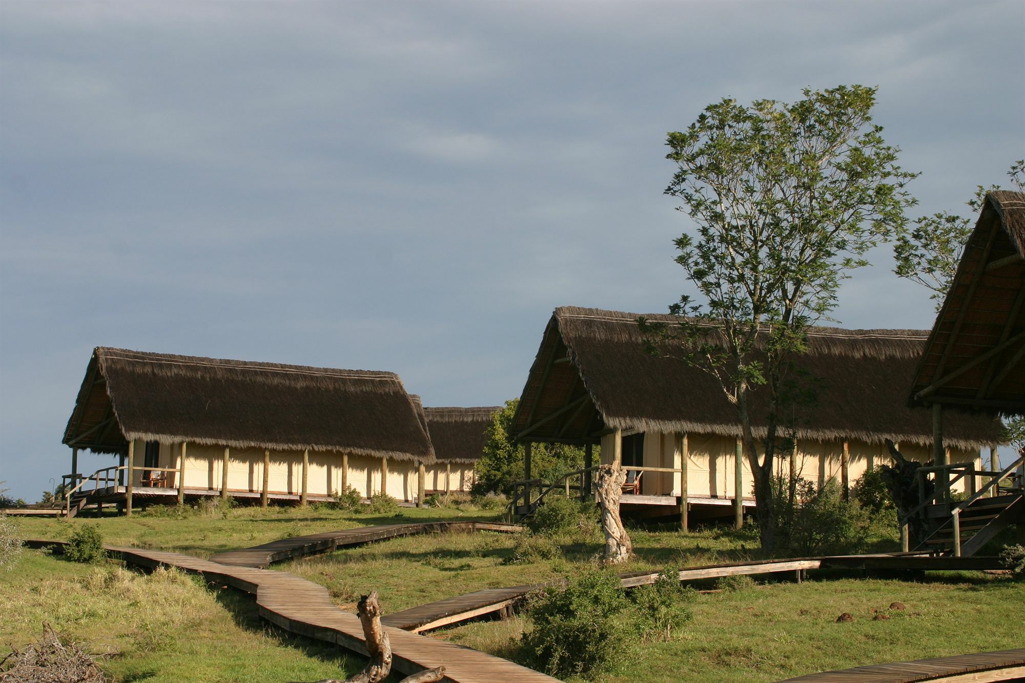 Gorah Elephant Camp Addo Ngoại thất bức ảnh